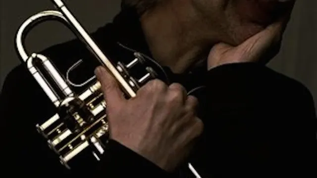 Erik Truffaz en concert
