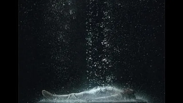 Expo Bill Viola