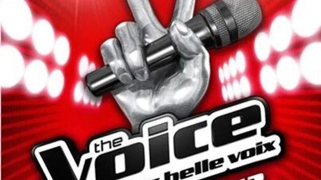 The Voice Tour 2013