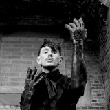 Patrick Wolf