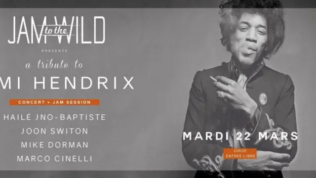 Jam To The Wild // a tribute to Jimi Hendrix