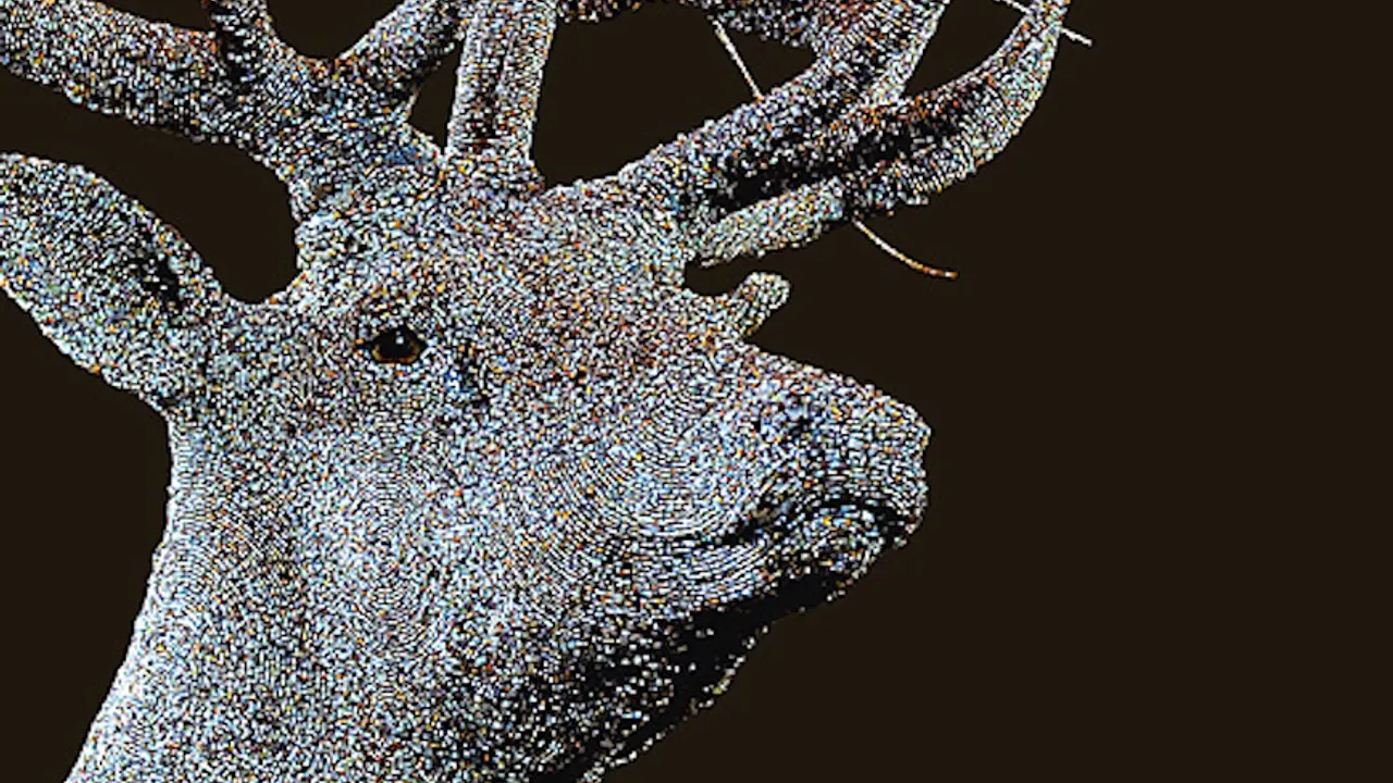 Exposition Les Chasses Nouvelles - Julien Salaud