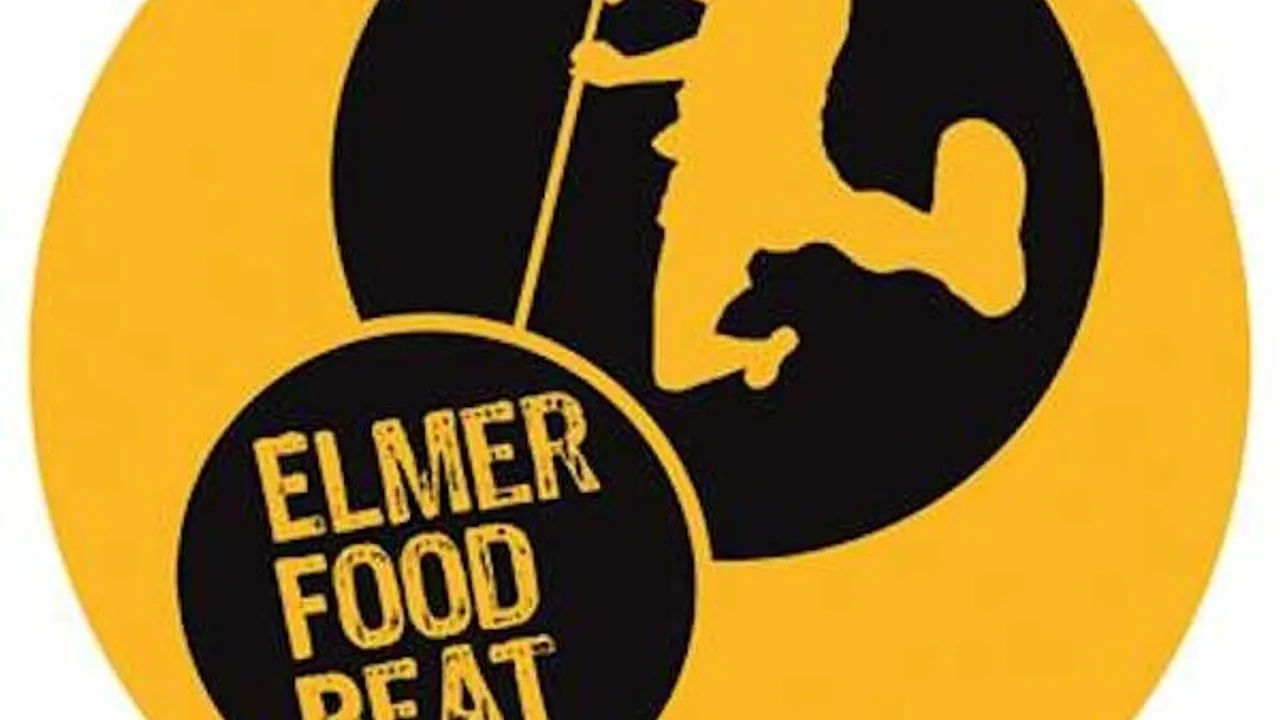 Elmer Food Beat en concert