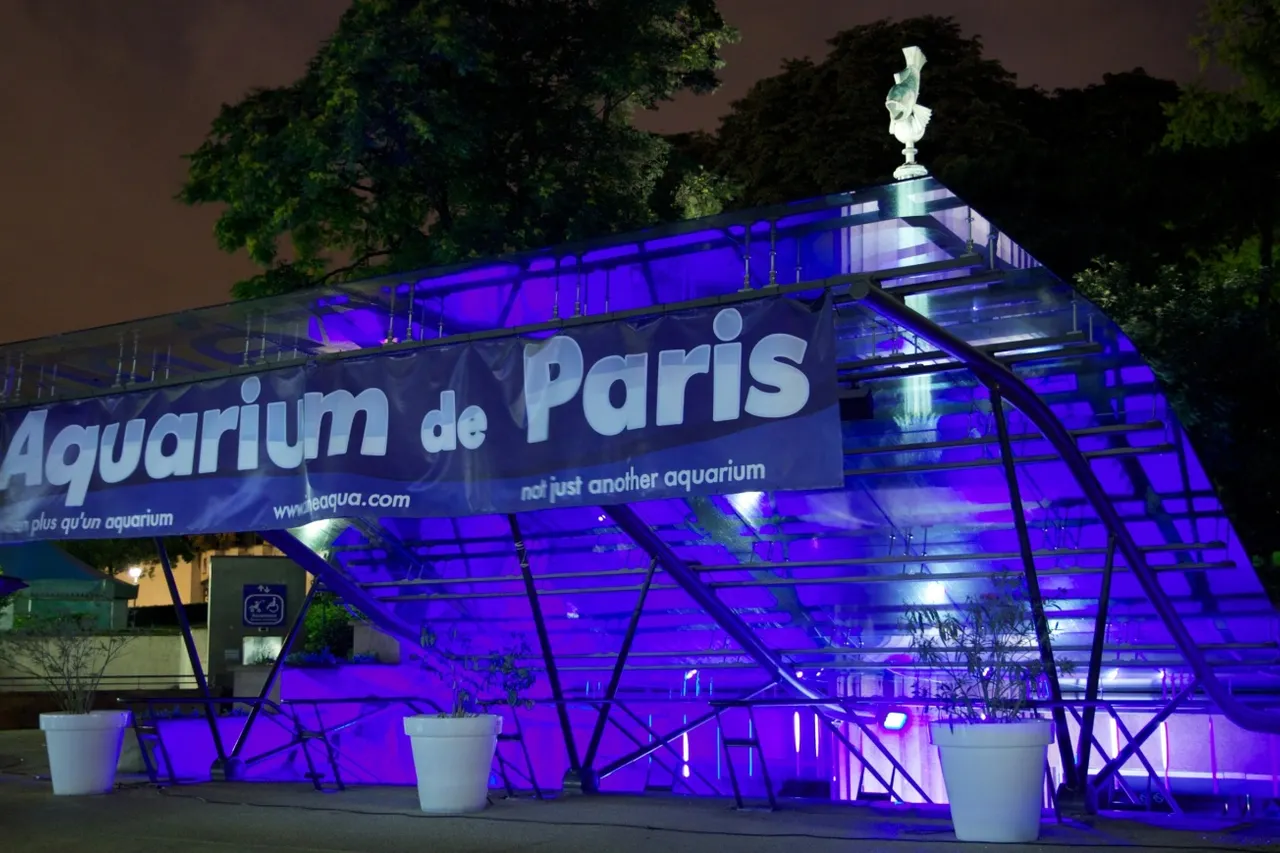 L'Aquarium Club