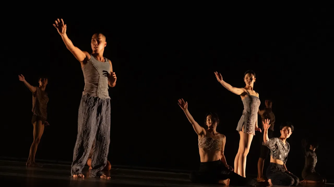 « Jungle » Spectacle de la Korea National Contemporary Dance Company