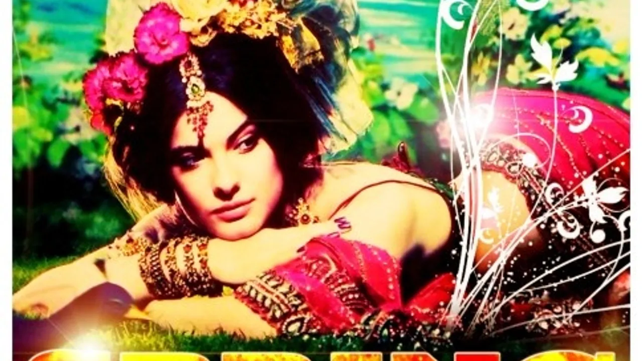 Soirée Bollywood Spring By Dj Aly au Libertalia
