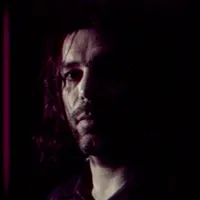 Bibio