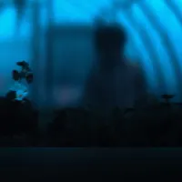 eenspire