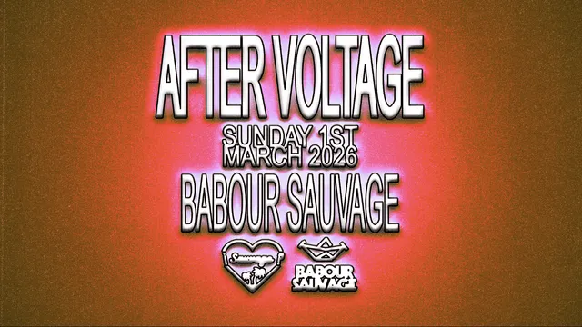 ¡After Voltage : Camion Bazar Curates #2?