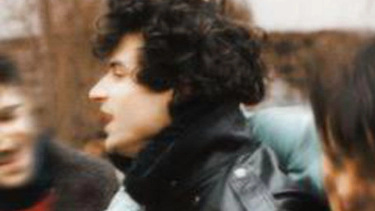 BB Brunes
