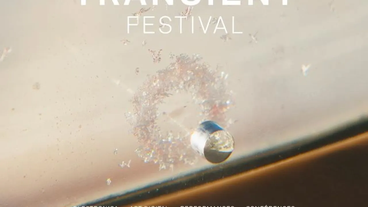 Transient Festival