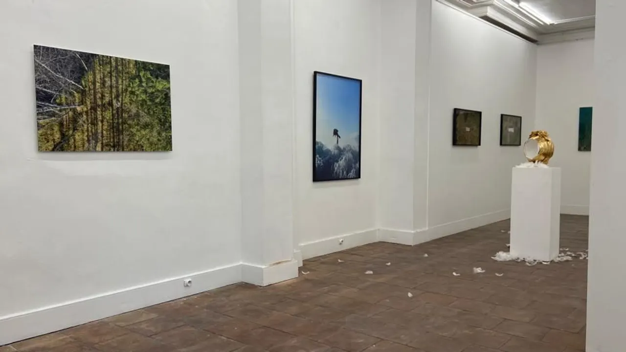 SOUS LE CHAOS, LA VIE, Benoît Barbagli