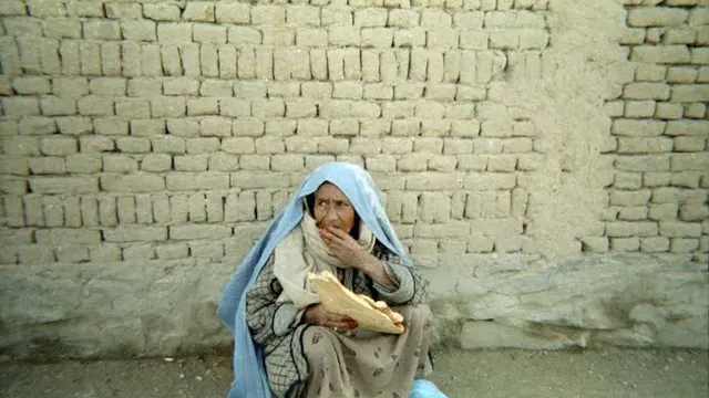Expo Simplement Afghanes