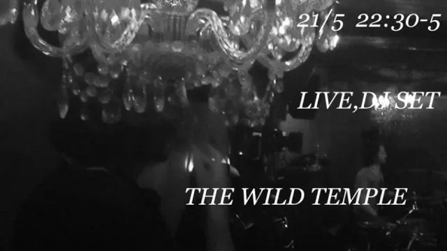 THE WILD TEMPLE