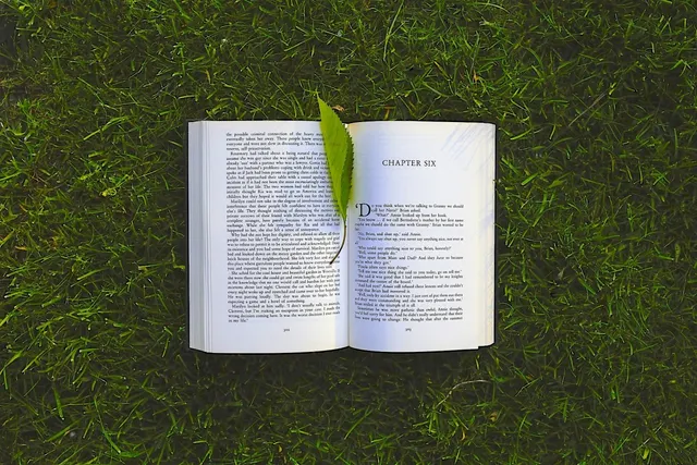 Bibliothèques hors les murs : des livres dans les parcs parisiens