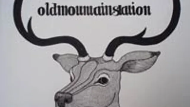 Old Mountain Station + In Bear Suits