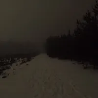 Drevm