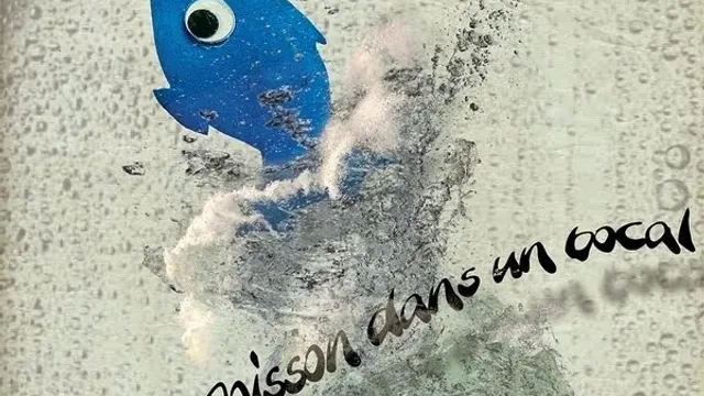 Pas un poisson dans un bocal