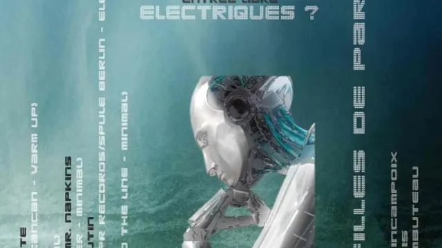 Pourquoi des Moutons Electrique