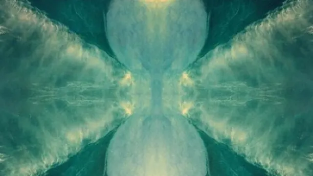 Bonobo