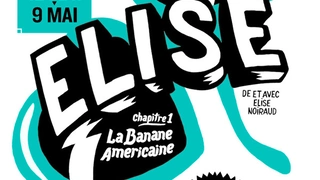 Elise, Chapitre 1 : La banande américaine
