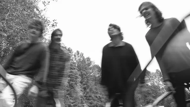 THE DISTRICTS + GUEST
