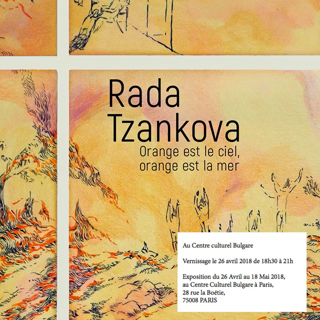 Rada T