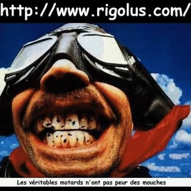 Ugo P