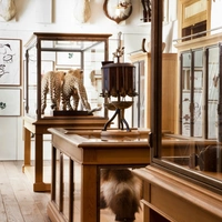 Musée de la Chasse et de la Nature
