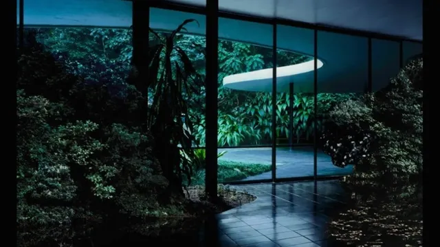 Exposition Caio Reisewitz - Disorder