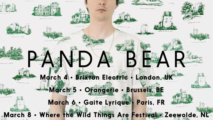 Panda Bear en concert