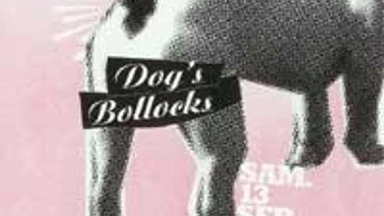 The Dog's Bollocks