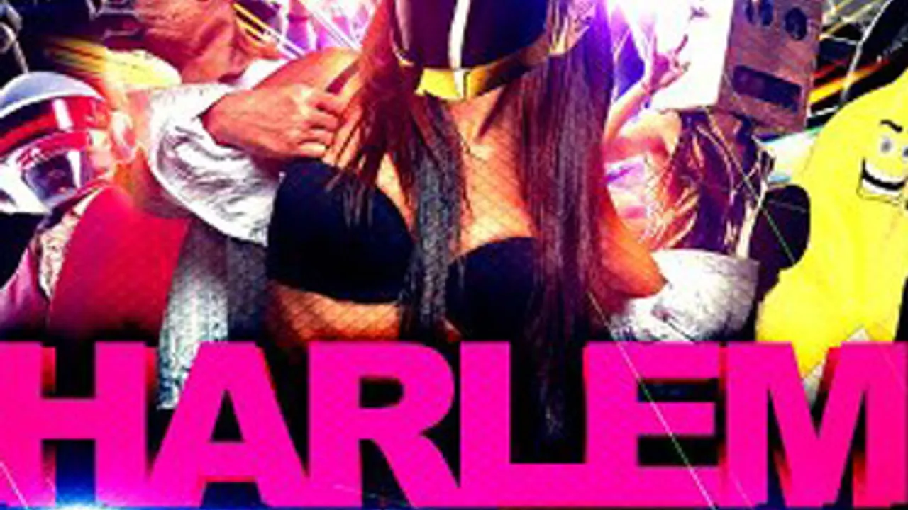 Harlem Shake Party
