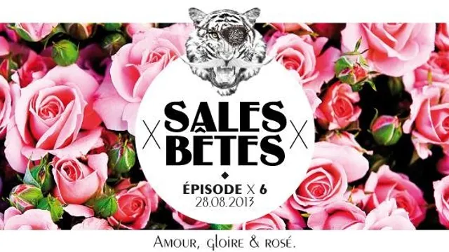 Sales Bêtes x Episode VI