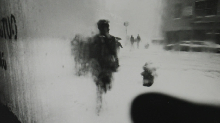 Soldat inconnu(e) - ZOOM #5