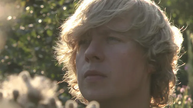 Sommersafari