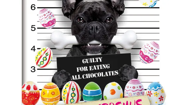 EASTER PARTY