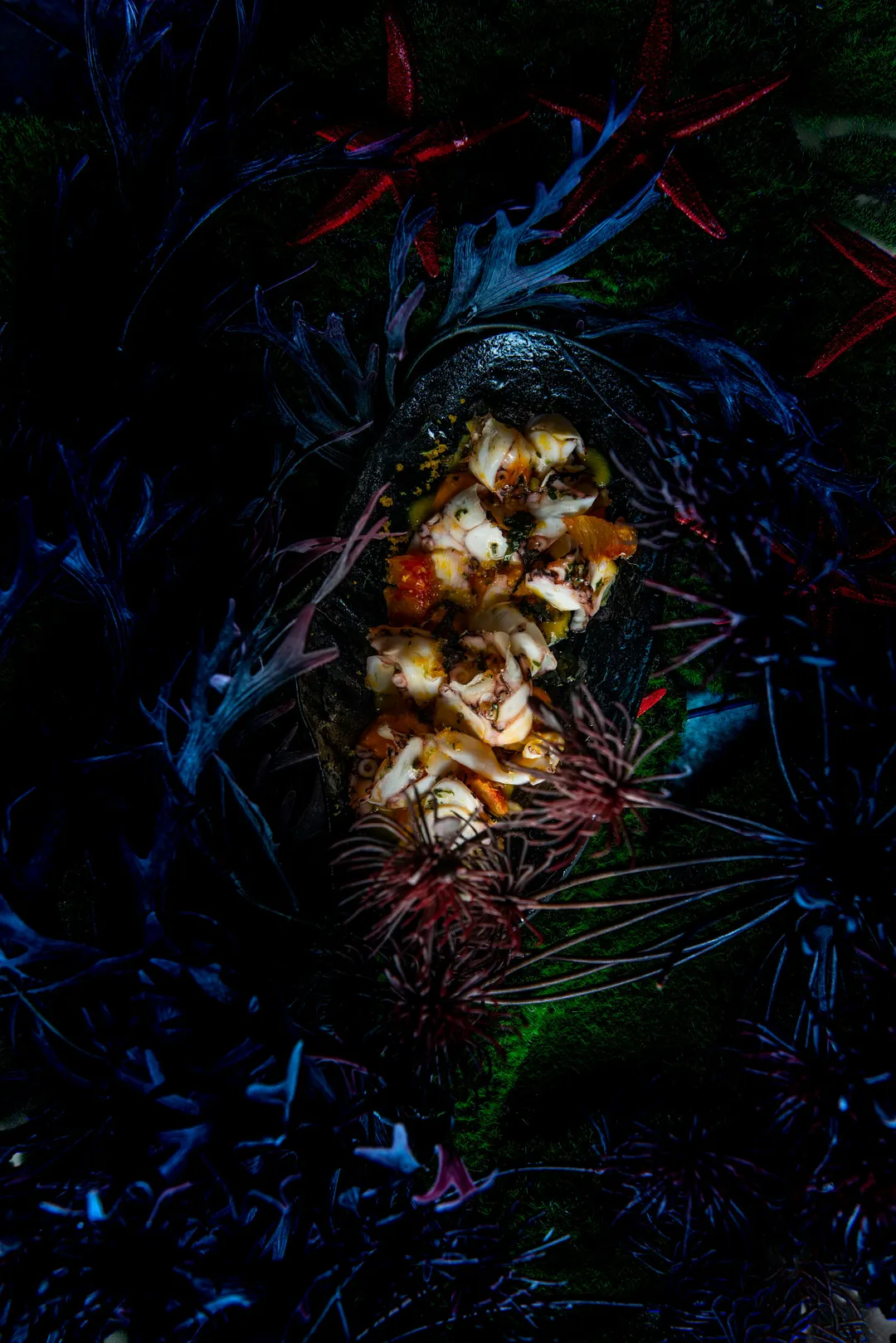 Under the sea Restaurant Issy-les-Moulineaux