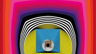 Joy sorman & Rubin Steiner - la peau de l'ours