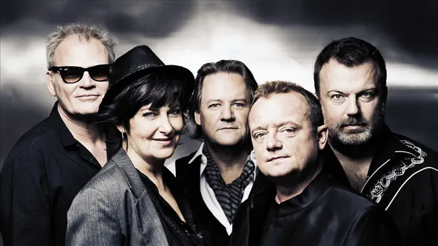 Dodo & the Dodos, En lille pose støj
