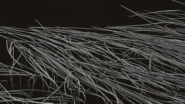 Skryptöm x Kilomètre25: Daria Kolosova, Cleric, Christoph Faust, OTHR, Giselh b2b Electric 