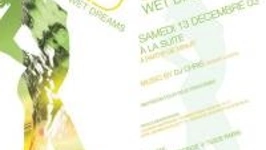 Wet Dreams Party Vi