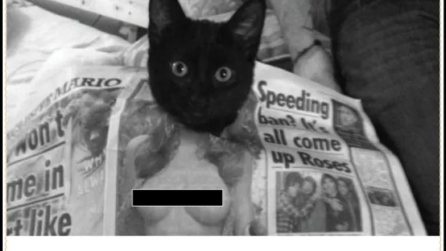 Le Minou au Chacha
