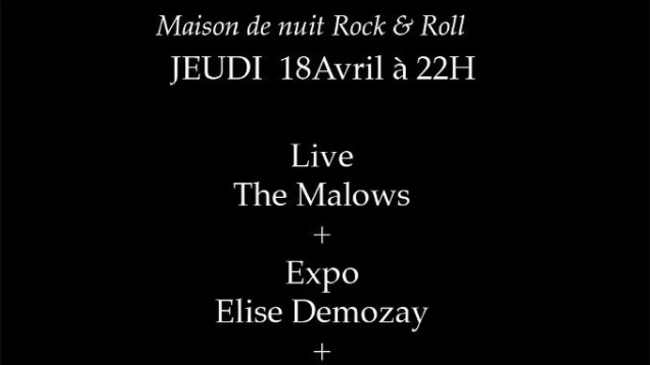 The Malows + Expo d'Elise Demozay + DJ Set