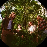 Triptides
