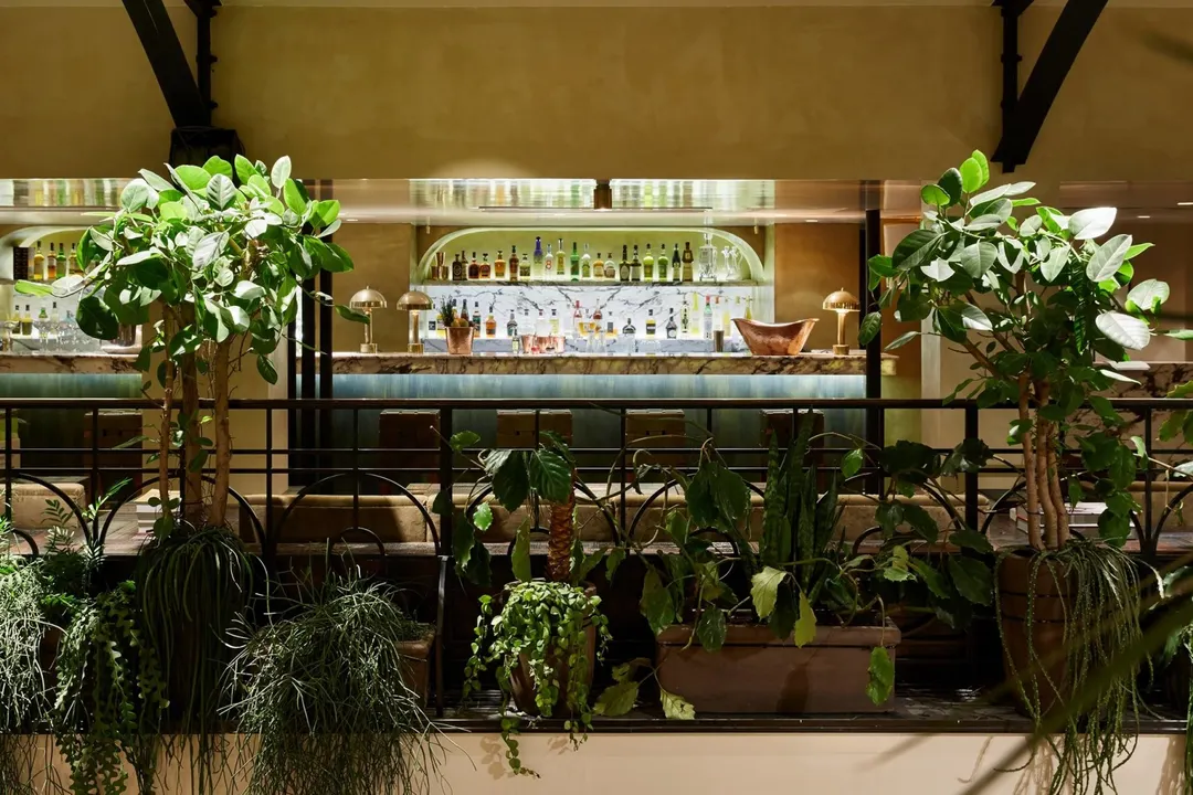 L'Alcazar Restaurant Bar Paris