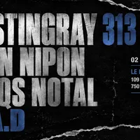 DJ Stingray 313