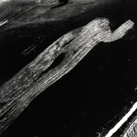 Vernissage | "Conversazione" de Mario Giacomelli & Franco Fontana