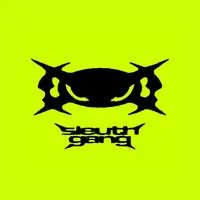 Sleuth Gang