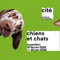 Chiens et chats